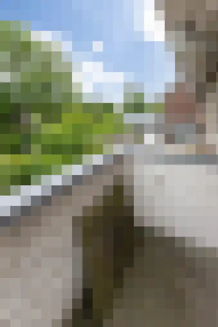 Martinilaan 21 Vught thumbnail 34