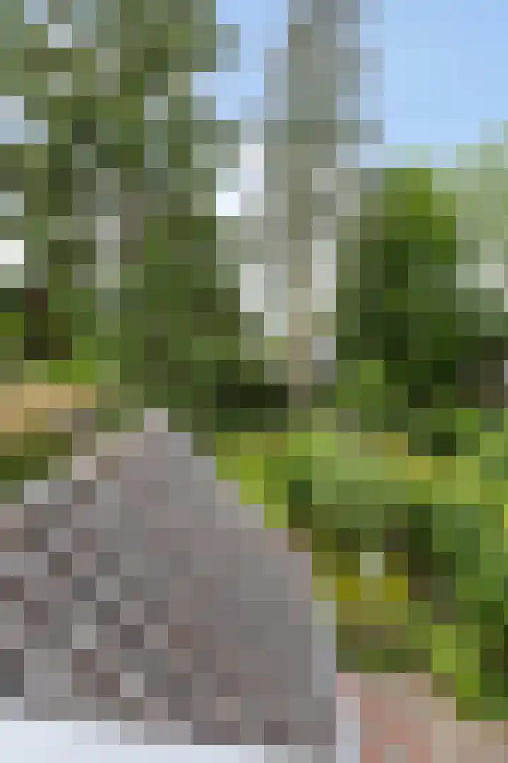 Martinilaan 21 Vught thumbnail 35