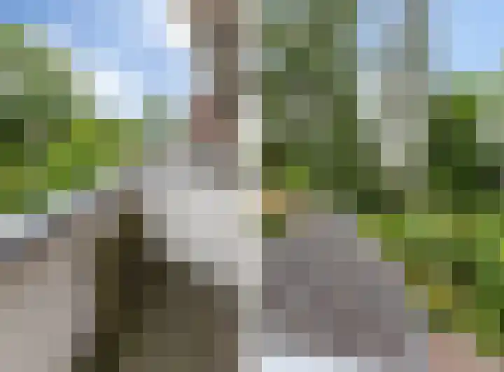 Martinilaan 21 Vught thumbnail 36