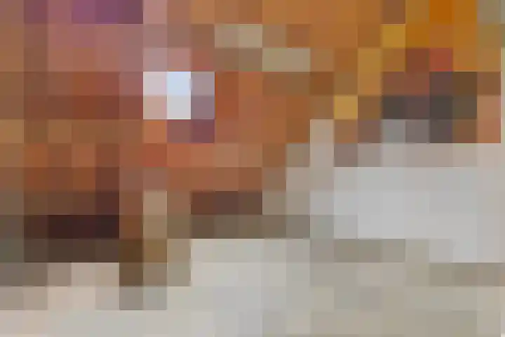 Martinilaan 21 Vught thumbnail 46