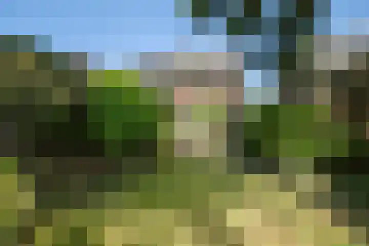 Martinilaan 21 Vught thumbnail 5