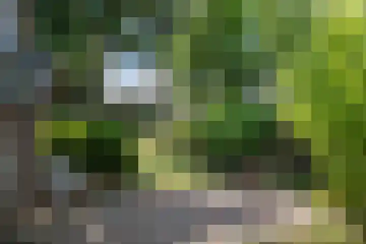 Martinilaan 21 Vught thumbnail 52