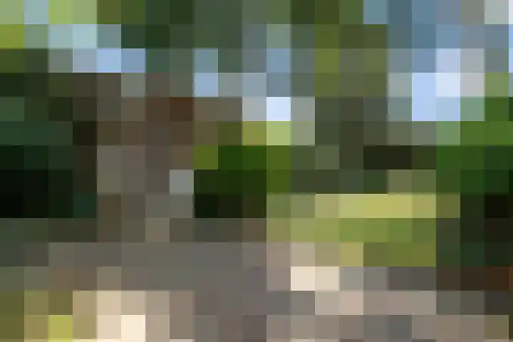Martinilaan 21 Vught thumbnail 54