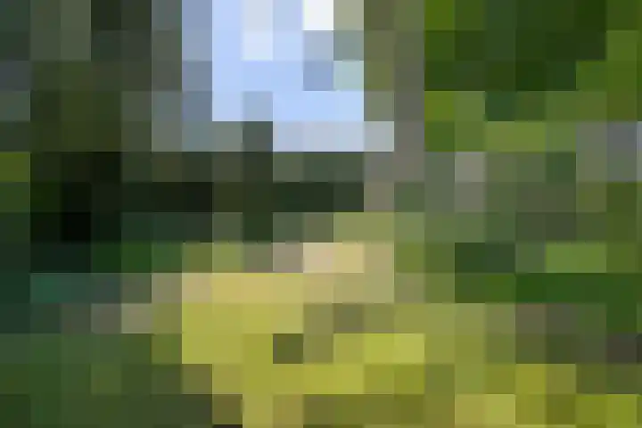 Martinilaan 21 Vught thumbnail 55