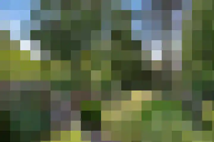 Martinilaan 21 Vught thumbnail 58