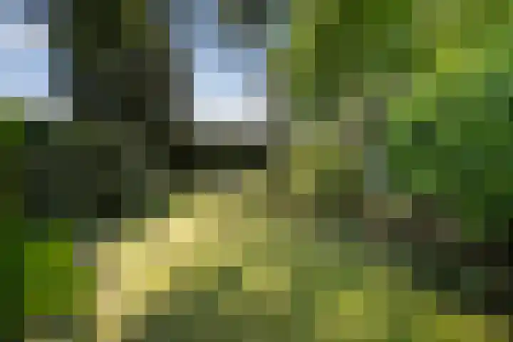 Martinilaan 21 Vught thumbnail 6