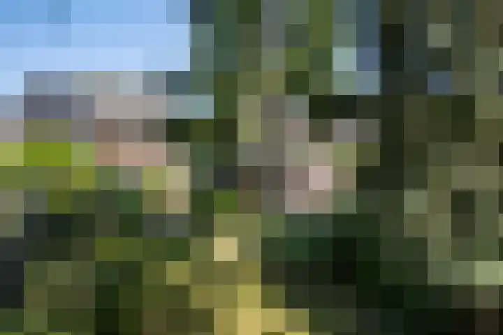 Martinilaan 21 Vught thumbnail 60