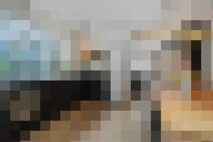 Martinilaan 31 Vught thumbnail 9