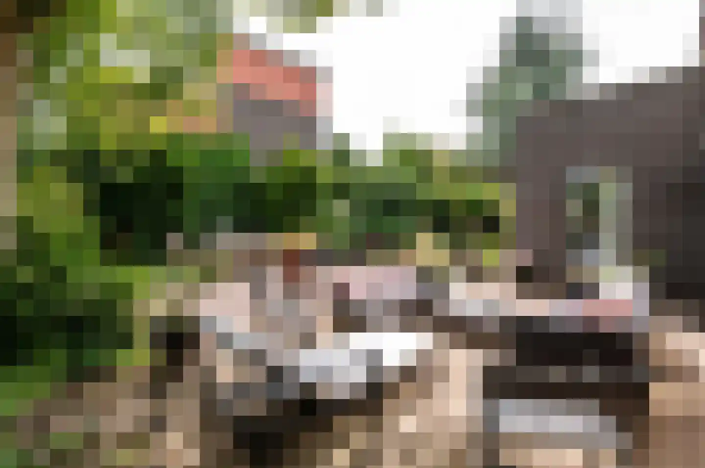 Martiniquestraat 4 Almere thumbnail 38