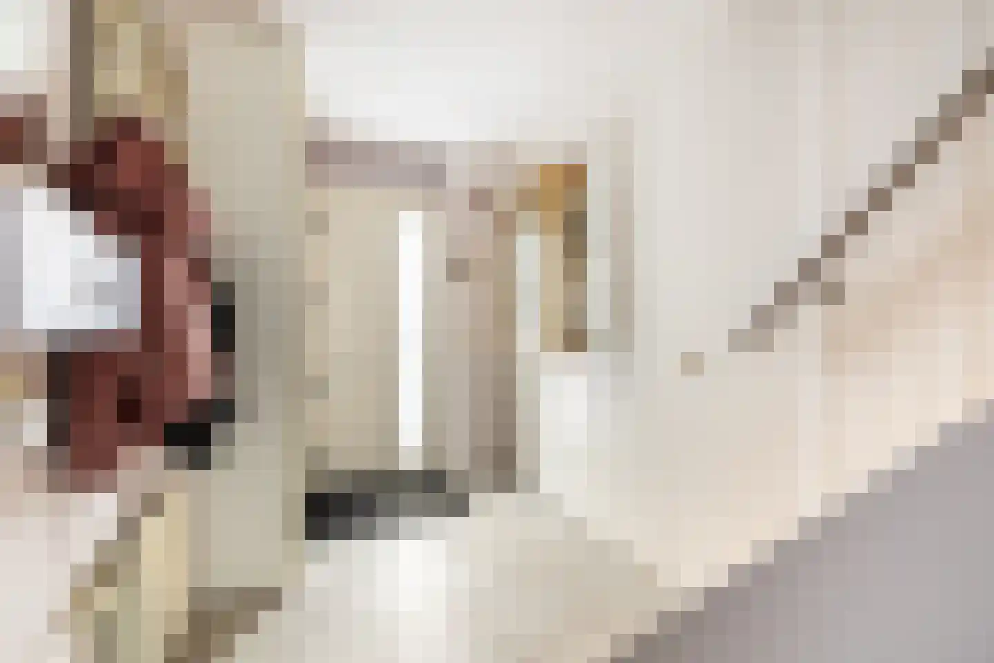 Martiniquestraat 9 Purmerend thumbnail 22