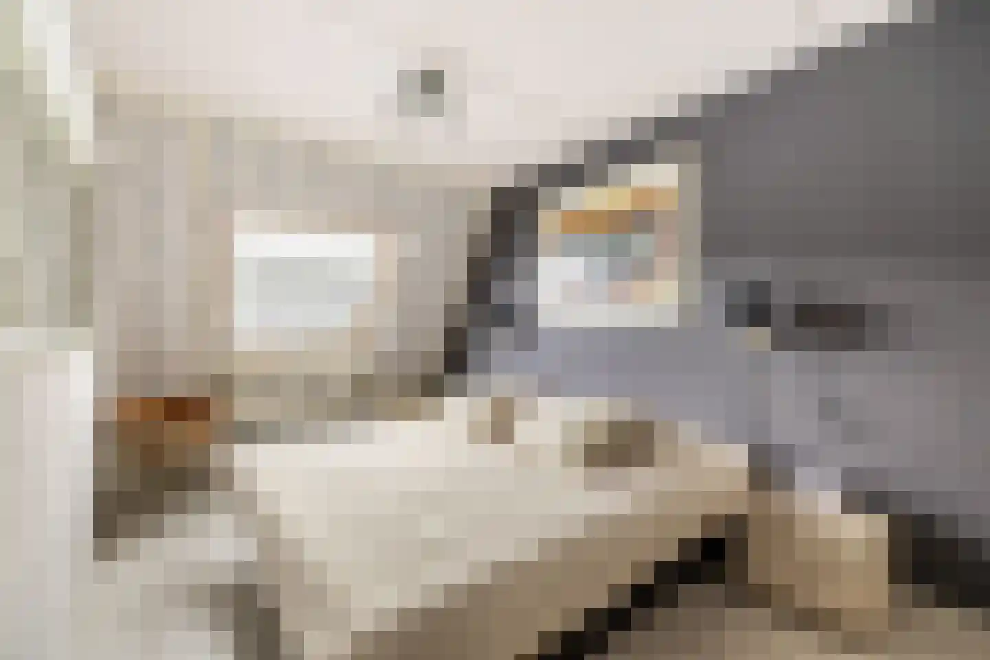 Martiniquestraat 9 Purmerend thumbnail 24