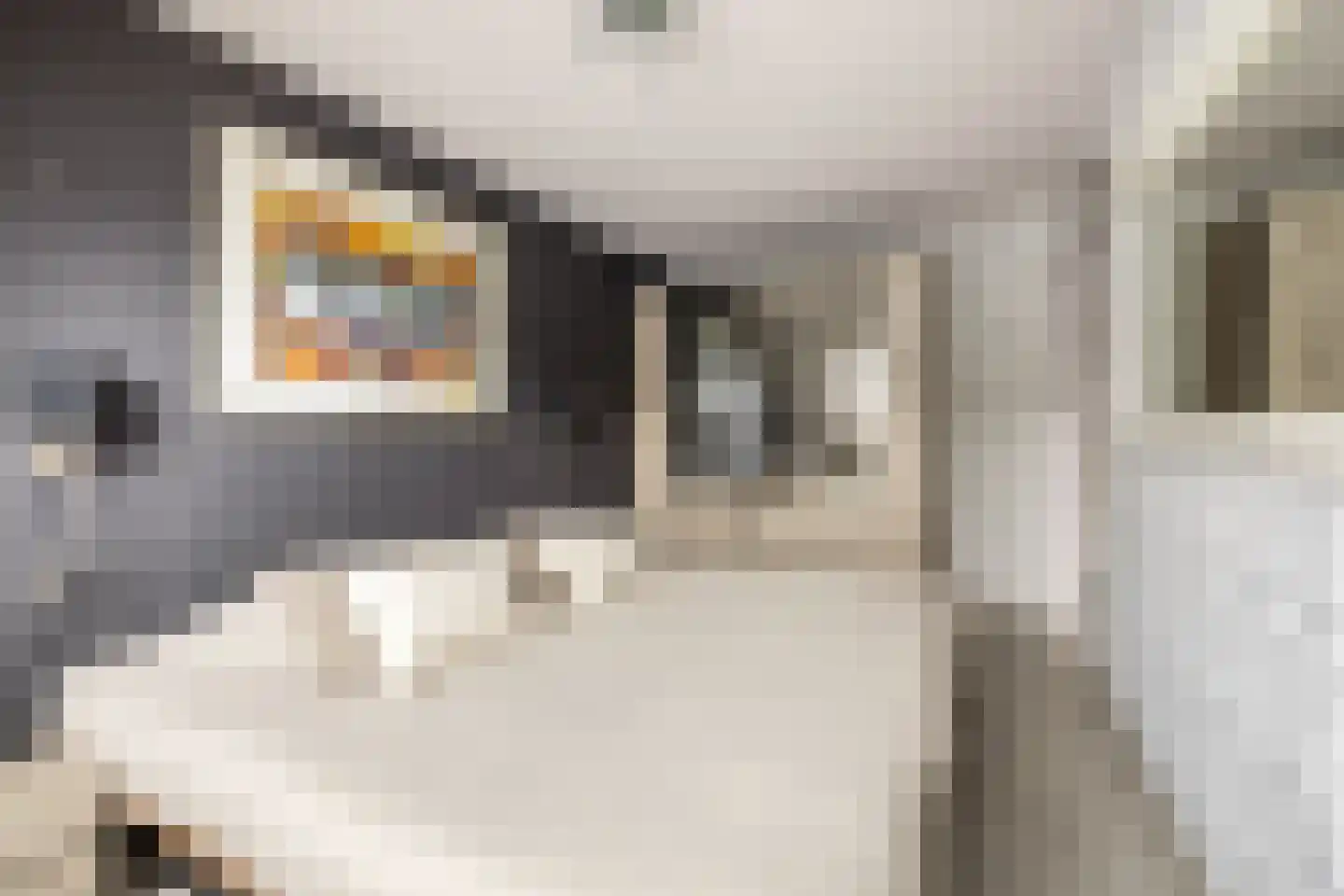 Martiniquestraat 9 Purmerend thumbnail 25