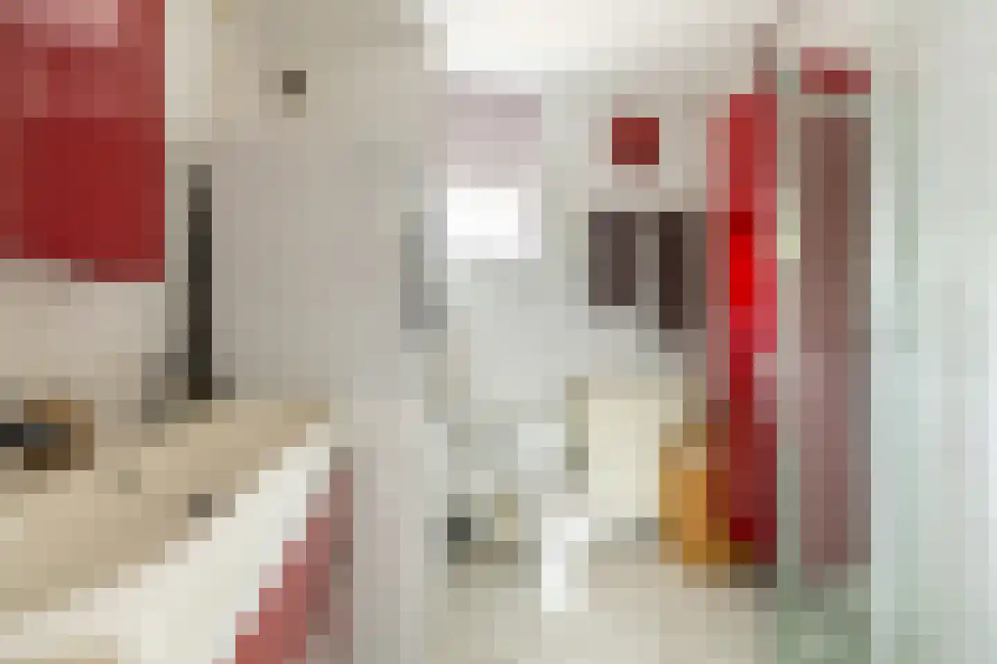 Martiniquestraat 9 Purmerend thumbnail 29