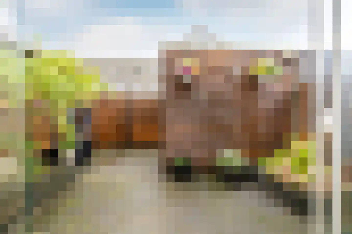 Martiniquestraat 9 Purmerend thumbnail 34