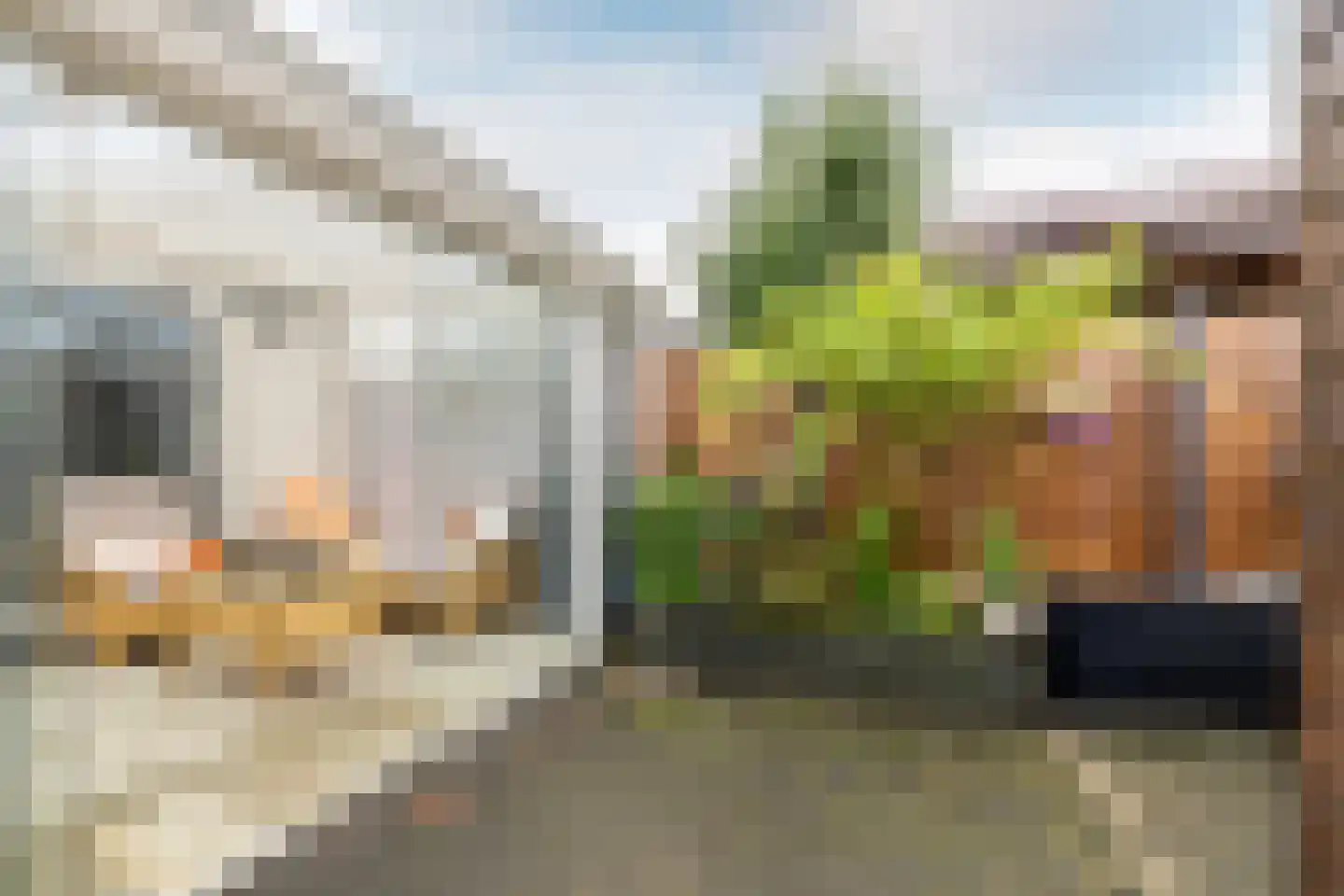 Martiniquestraat 9 Purmerend thumbnail 35