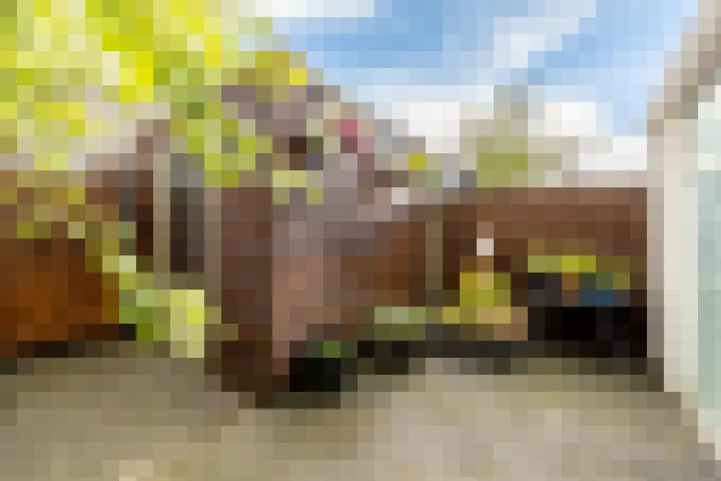 Martiniquestraat 9 Purmerend thumbnail 6