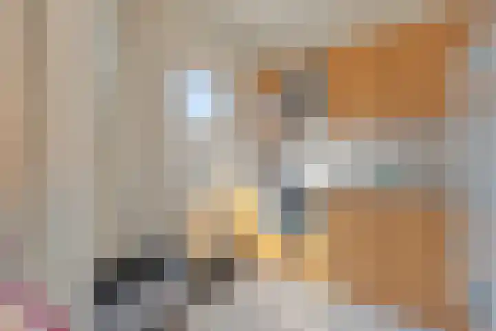 Martinitorenstraat 141 Tilburg thumbnail 18