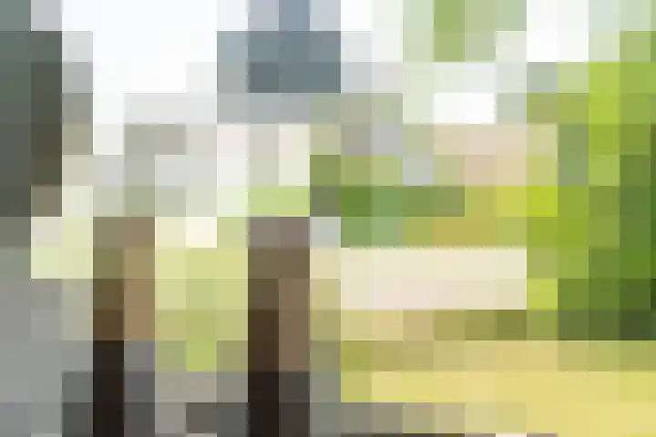Martinstraat 3 Eygelshoven thumbnail 12
