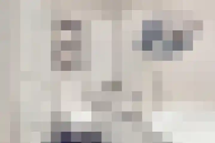 Martinstraat 3 Eygelshoven thumbnail 21