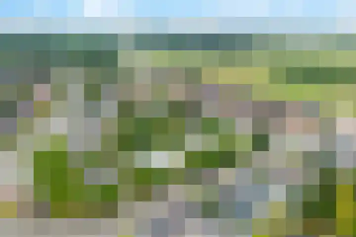 Martinstraat 3 Eygelshoven thumbnail 30