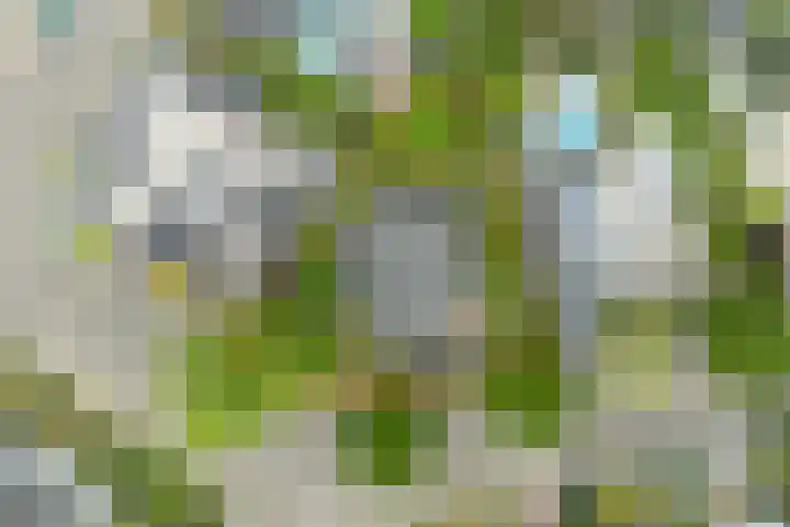 Martinstraat 3 Eygelshoven thumbnail 31