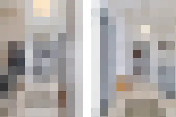 Martinstraat 3 Eygelshoven thumbnail 4