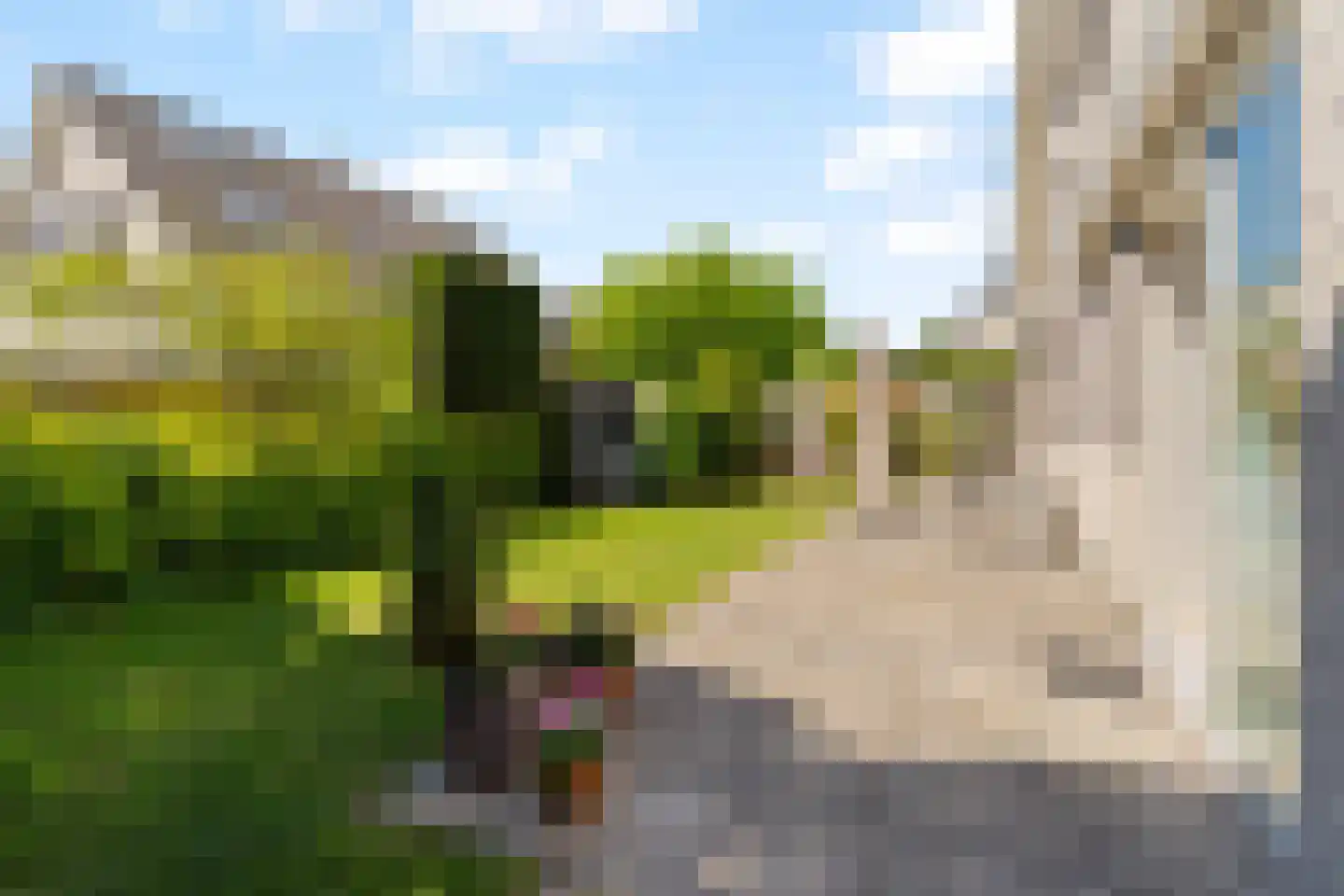 Martinus Burkensstraat 3 Rotterdam thumbnail 34