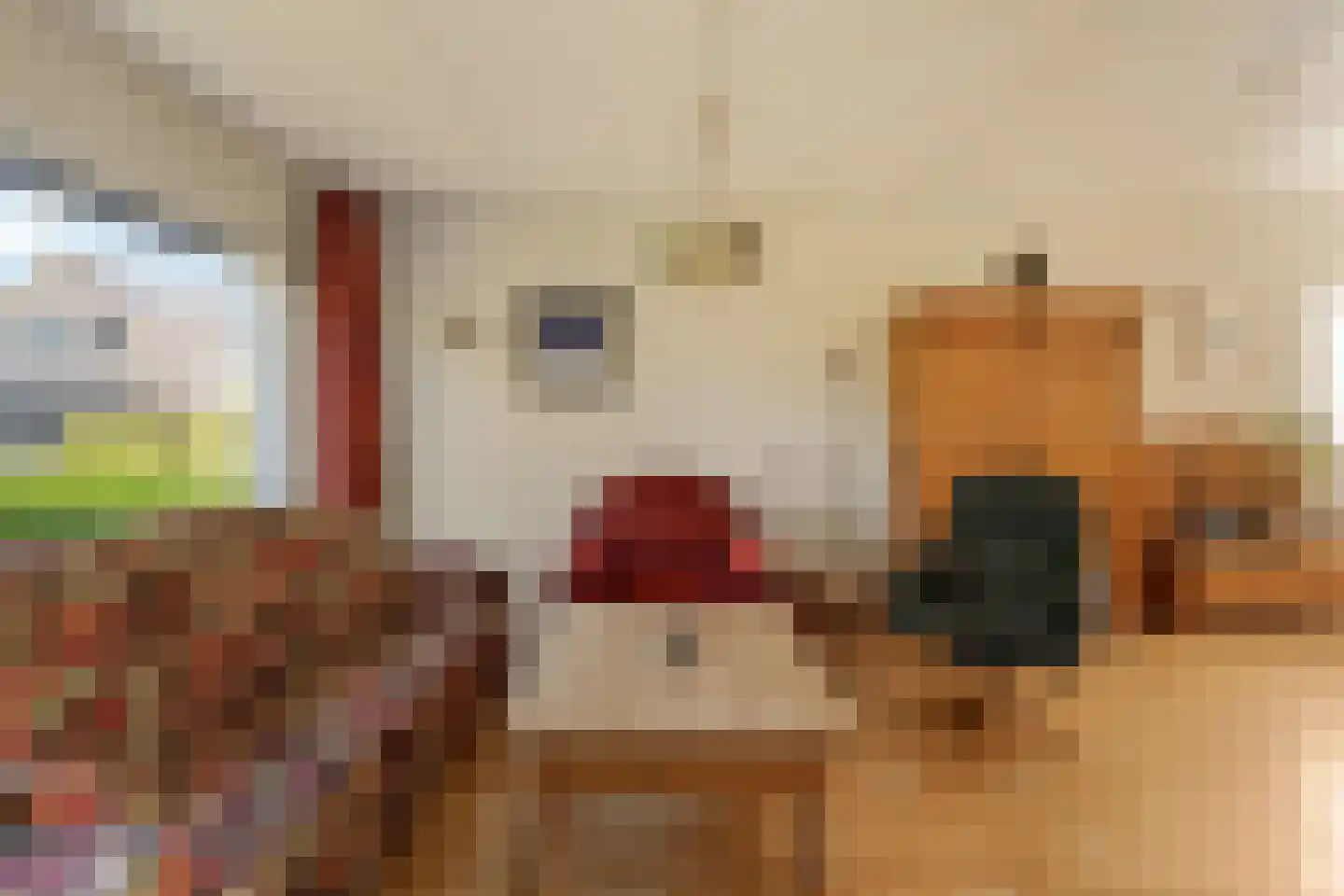Martinus Burkensstraat 3 Rotterdam thumbnail 9