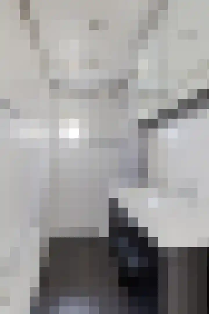 Martinus de Boerstraat 14 Drachten thumbnail 39