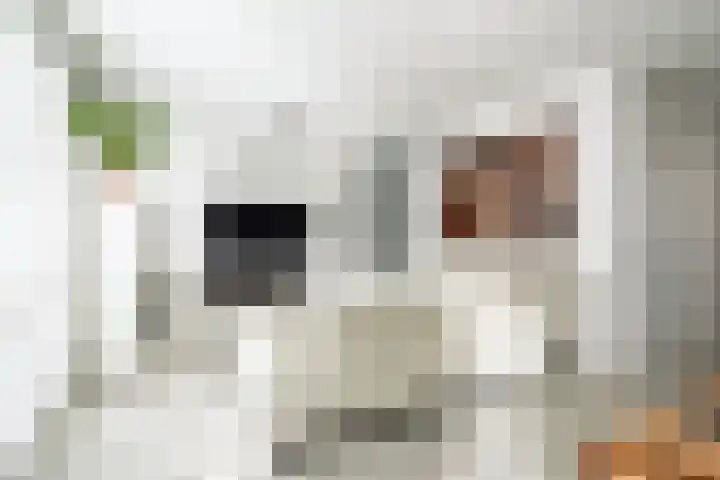 Martinus Nijhoffhove 55 Nieuwegein thumbnail 15
