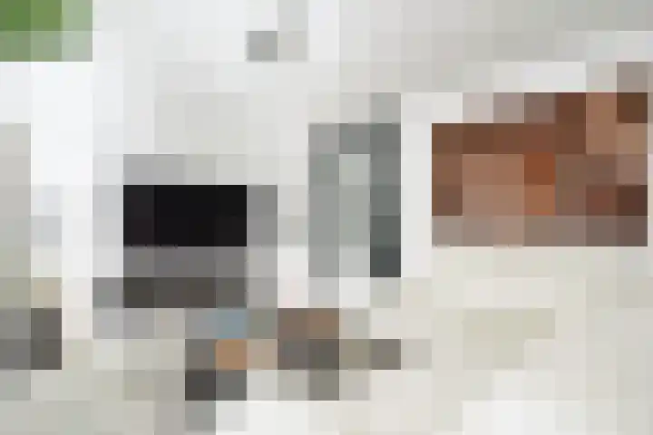 Martinus Nijhoffhove 55 Nieuwegein thumbnail 16