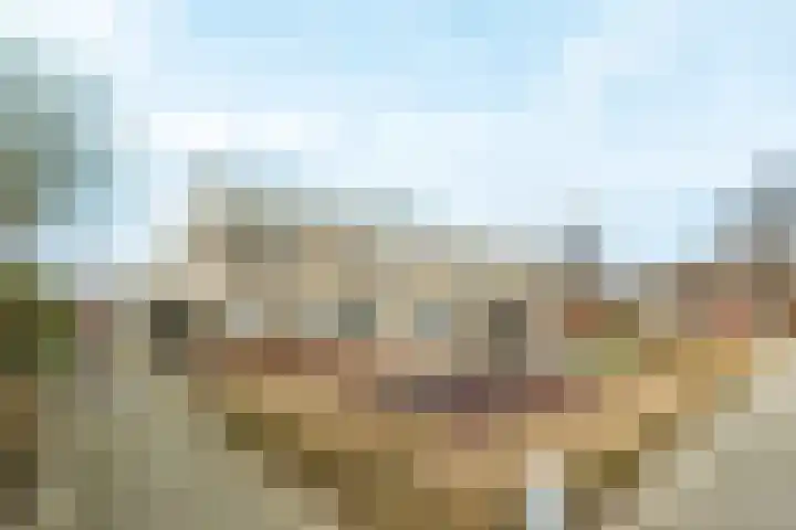 Martinus Nijhoffhove 55 Nieuwegein thumbnail 4
