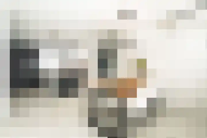 Martinus Nijhoffhove 55 Nieuwegein thumbnail 8