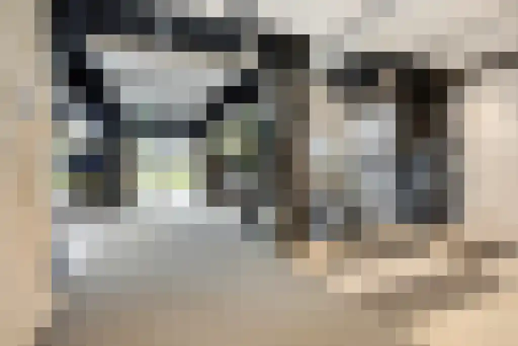 Martinus Nijhofflaan 1 Delft thumbnail 6