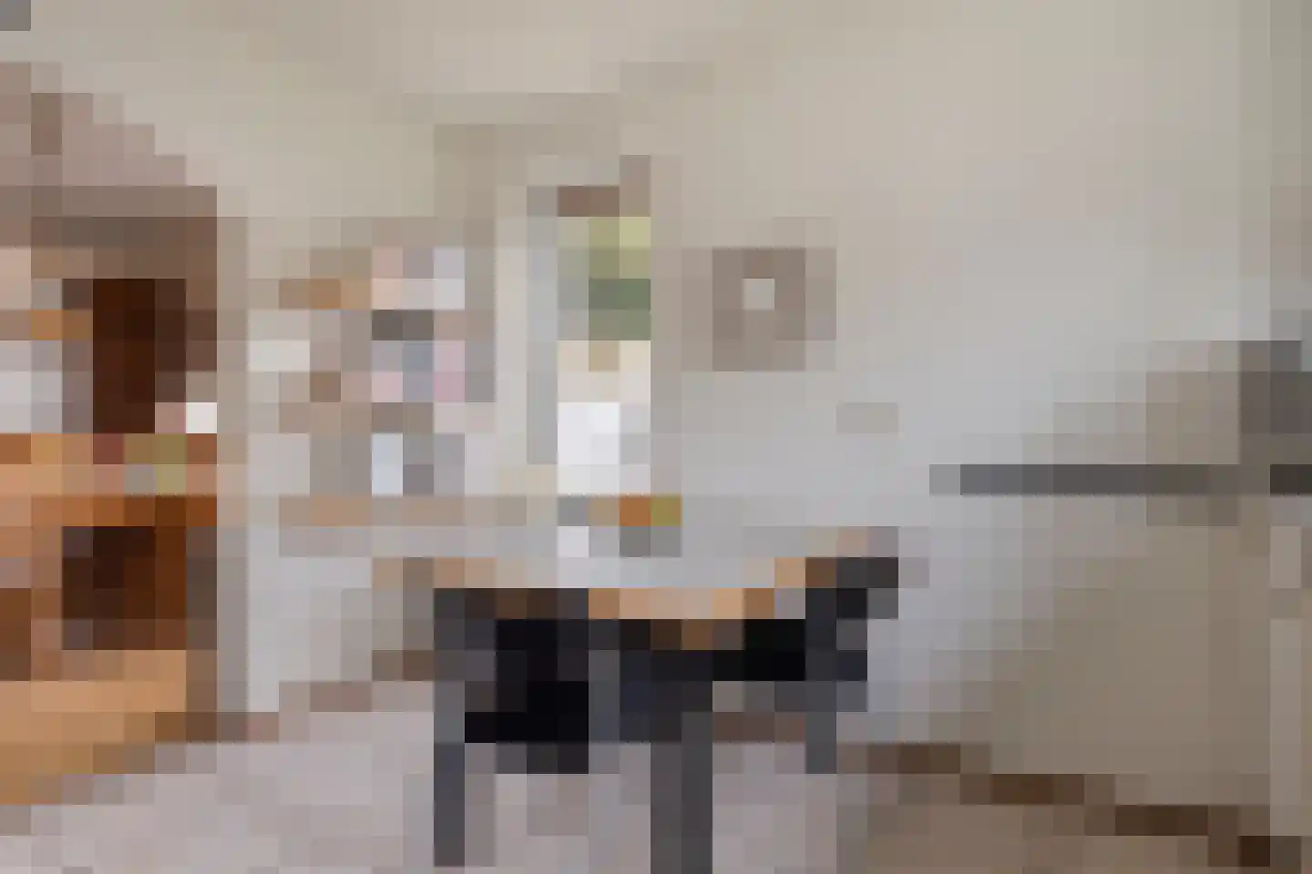 Martinus Nijhofflaan 107 Kloetinge thumbnail 20