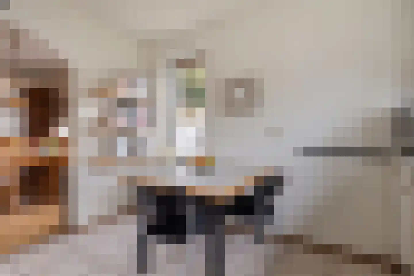 Martinus Nijhofflaan 107 Kloetinge thumbnail 22