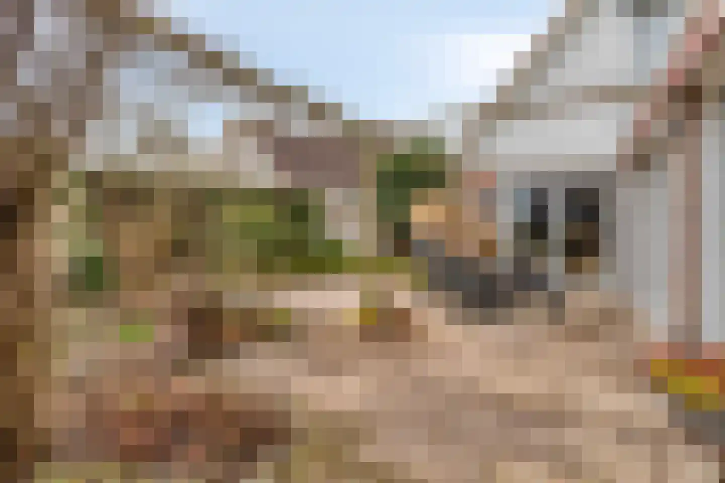 Martinus Nijhofflaan 107 Kloetinge thumbnail 37