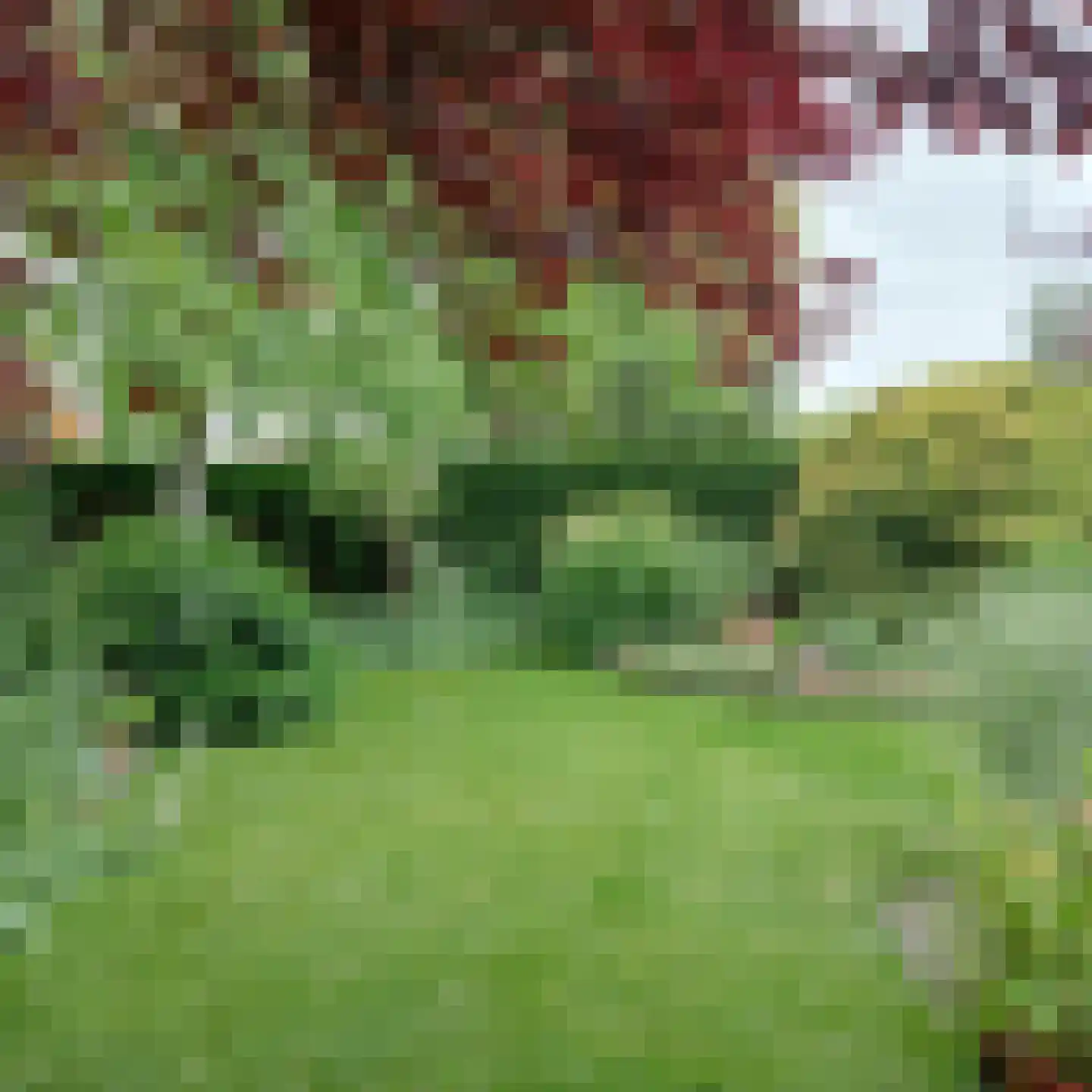 Martinus Nijhofflaan 107 Kloetinge thumbnail 40