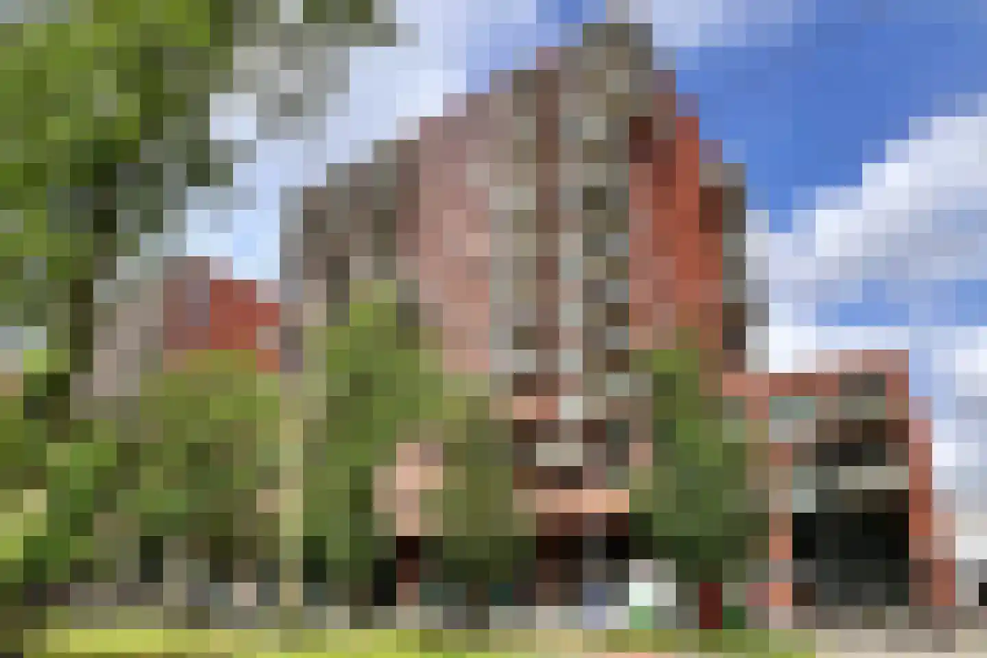 Martinus Nijhofflaan 130 Delft thumbnail 6