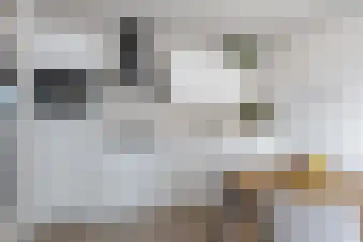 Martinus Nijhofflaan 166 Delft thumbnail 4