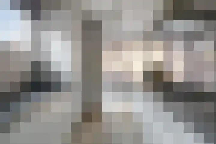 Martinus Nijhofflaan 176 Delft thumbnail 17