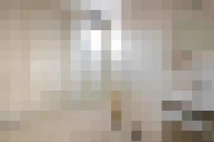 Martinus Nijhofflaan 18 Roosendaal thumbnail 19