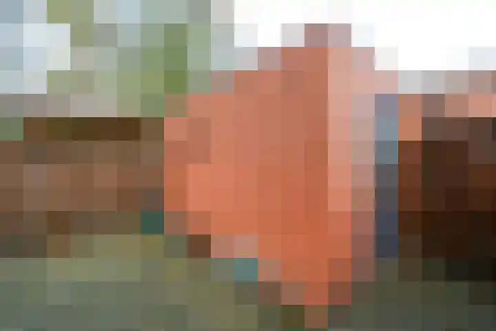 Martinus Nijhofflaan 18 Roosendaal thumbnail 24