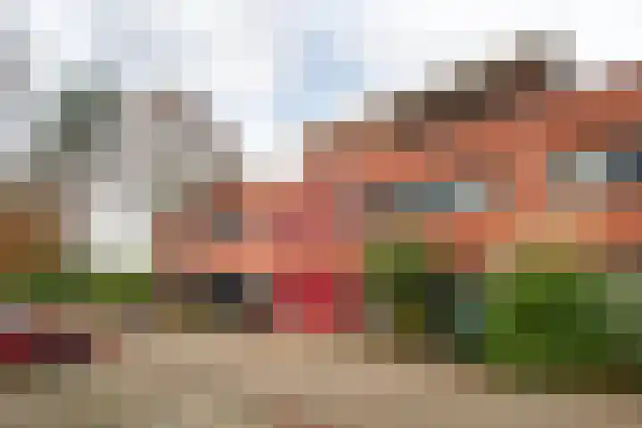 Martinus Nijhofflaan 18 Roosendaal thumbnail 29