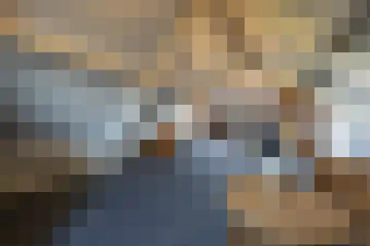 Martinus Nijhofflaan 182 Delft thumbnail 12