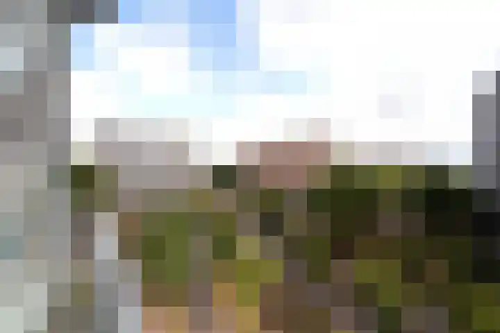 Martinus Nijhofflaan 182 Delft thumbnail 15