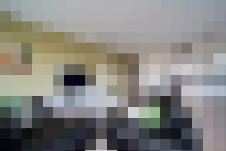 Martinus Nijhofflaan 182 Delft thumbnail 17