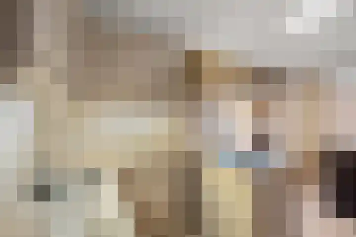 Martinus Nijhofflaan 19 Roosendaal thumbnail 15