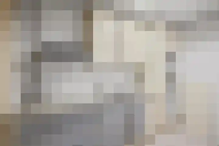 Martinus Nijhofflaan 19 Roosendaal thumbnail 19