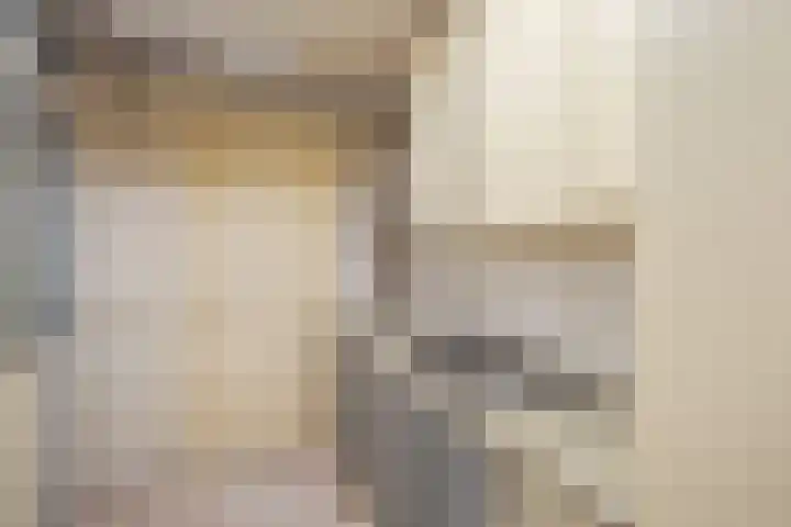 Martinus Nijhofflaan 19 Roosendaal thumbnail 20